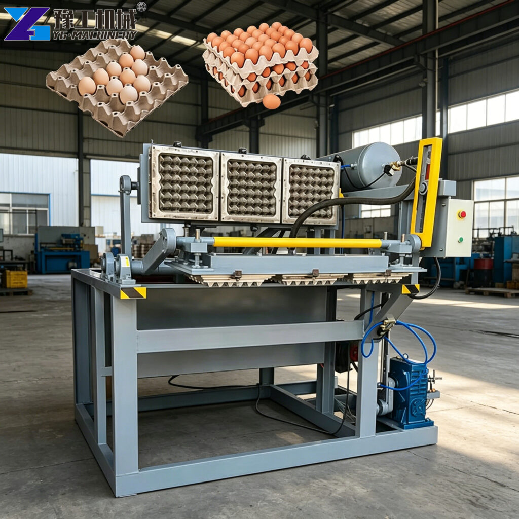 egg tray machine working in factory