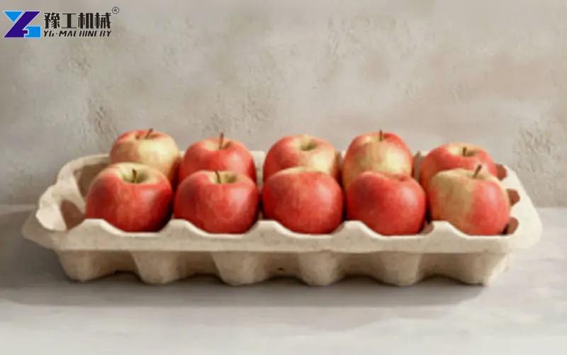 10 Holes Apple Tray