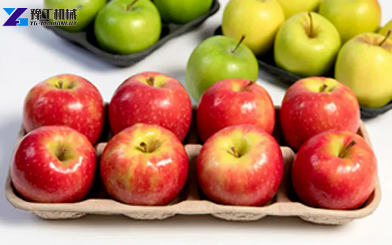 8 Holes Apple Tray