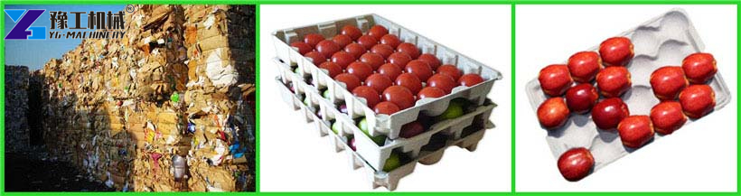 Apple Tray Machine Large Scale Production