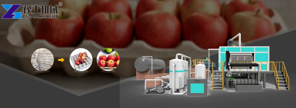 Apple Tray Machine Paper Price
