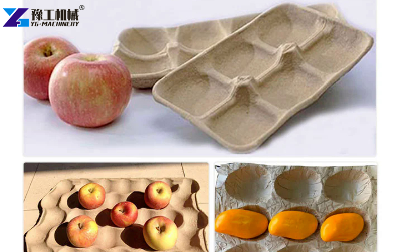 Apple Tray Making Machine Supplier