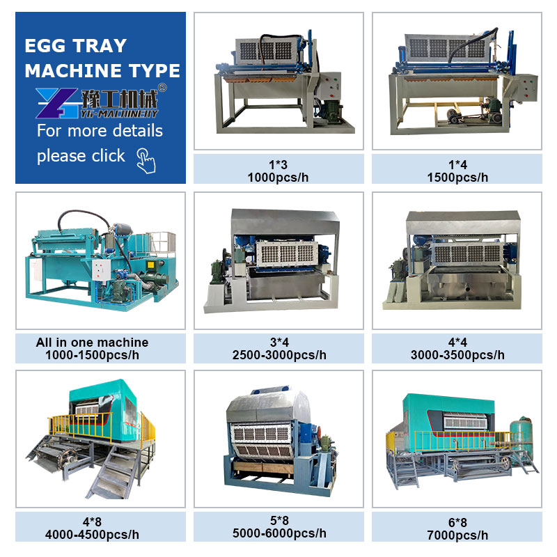 Automatic Egg Tray Machine With High Capacity
