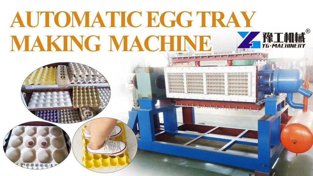 Automatic Egg Tray Machine for Sale