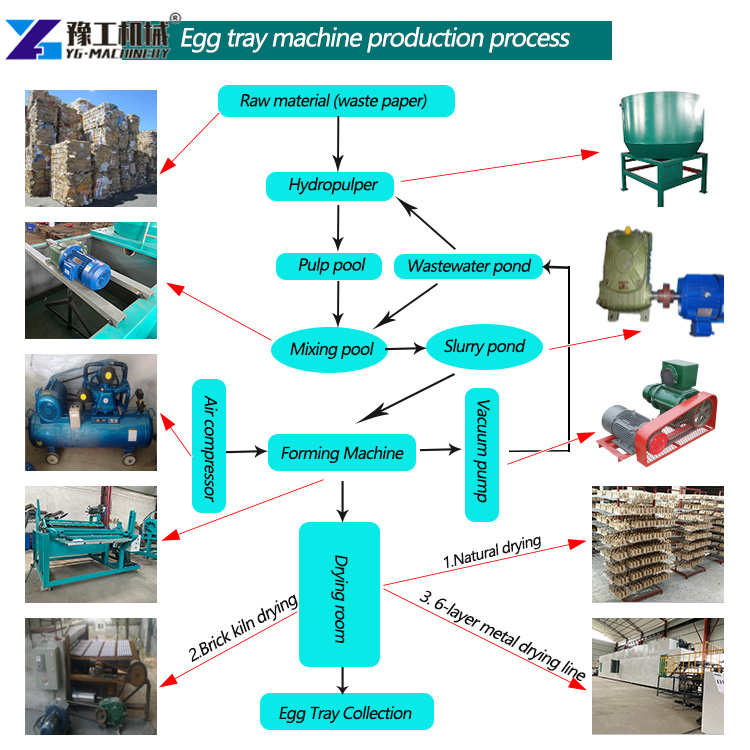 Egg Carton Machine Automated System