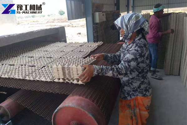 Egg Tray Machine Customer Site