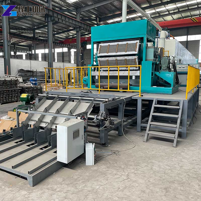 Egg Tray Production Line Factory Setup