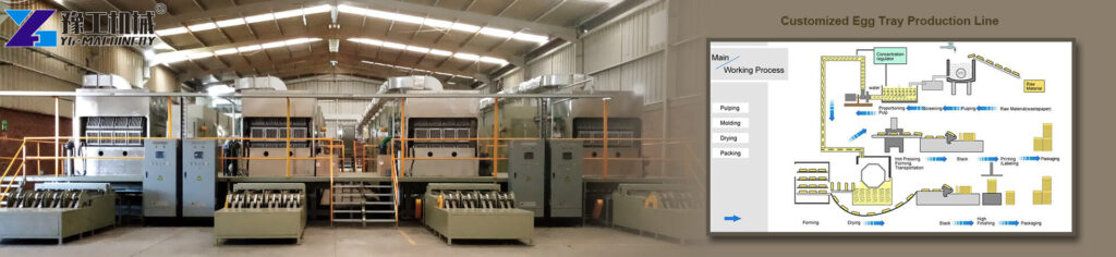 Paper Seedling Tray Production Process