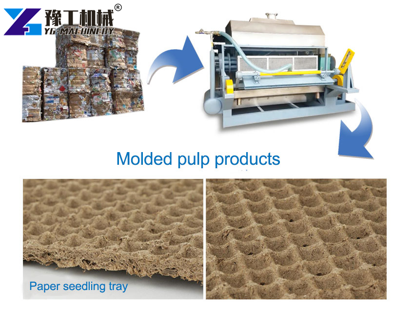 Seedling Tray Machine Drying Process