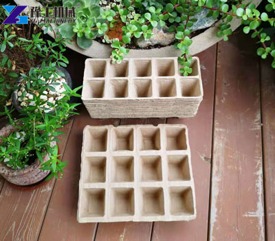 Seedling Trays