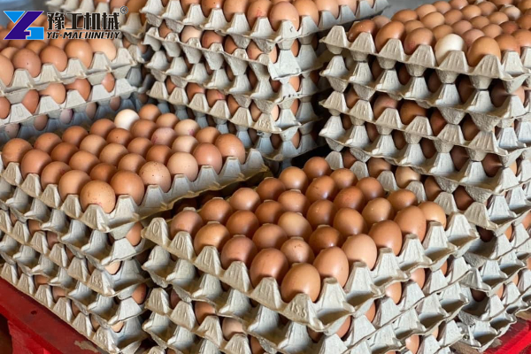 YG Egg Carton Making Machine Finished Traps Stacking