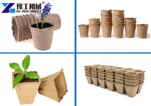 YG Seedling Tray Machine Custom Mold Options